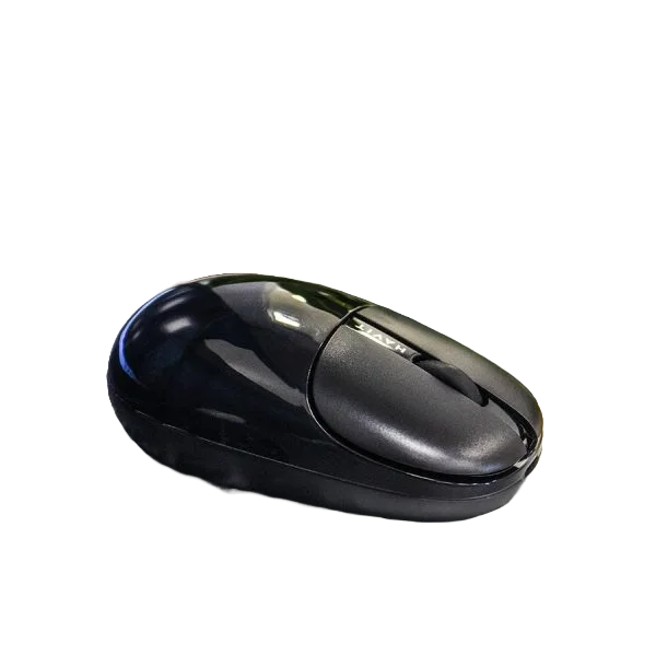 Havit Dual-Mode Wireless Mouse