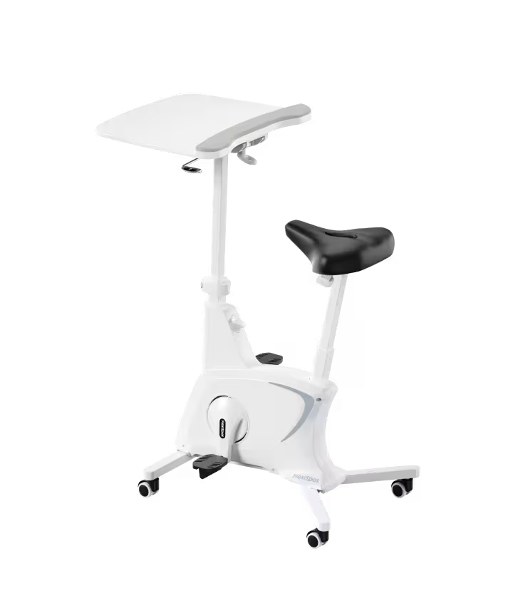 FlexiSpot Exercise Bike Chair - White