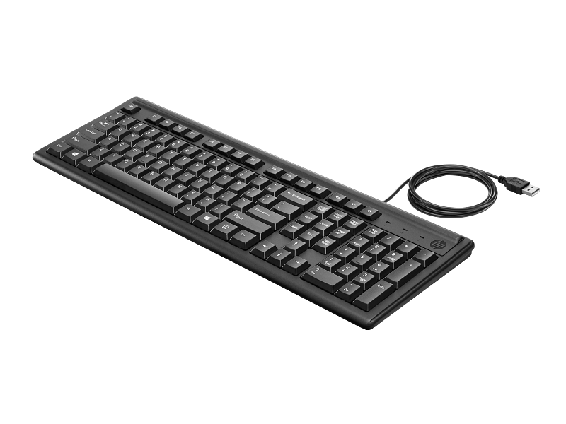 HP Keyboard 100