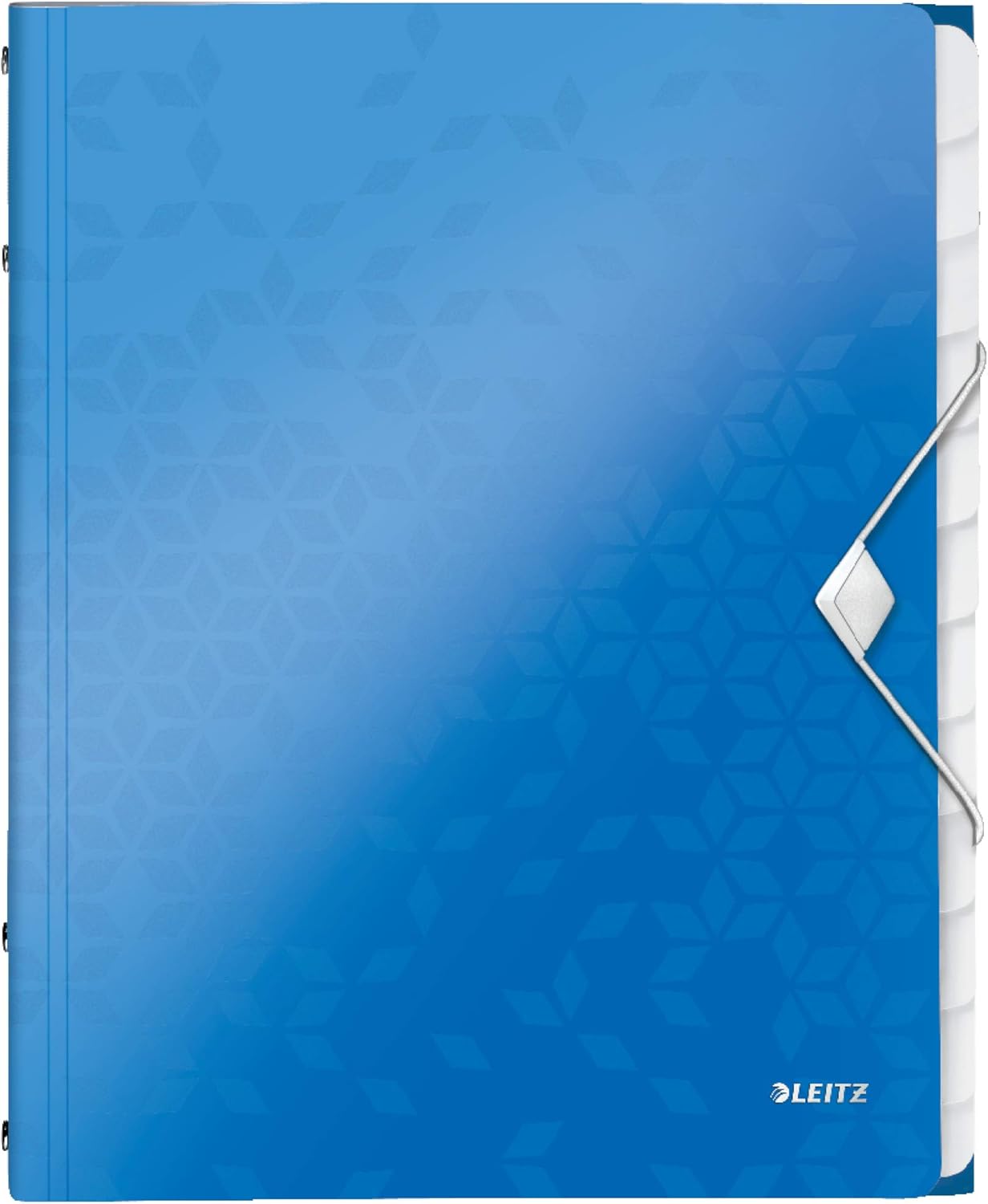 Leitz 12-Tab Divider Book