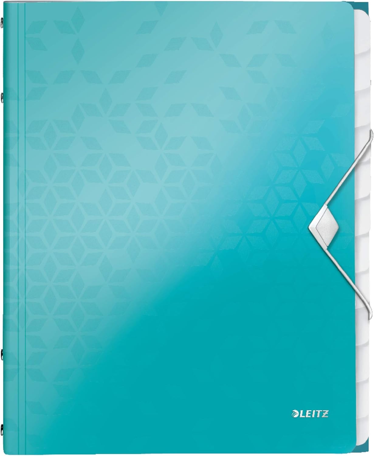Leitz 12-Tab Divider Book