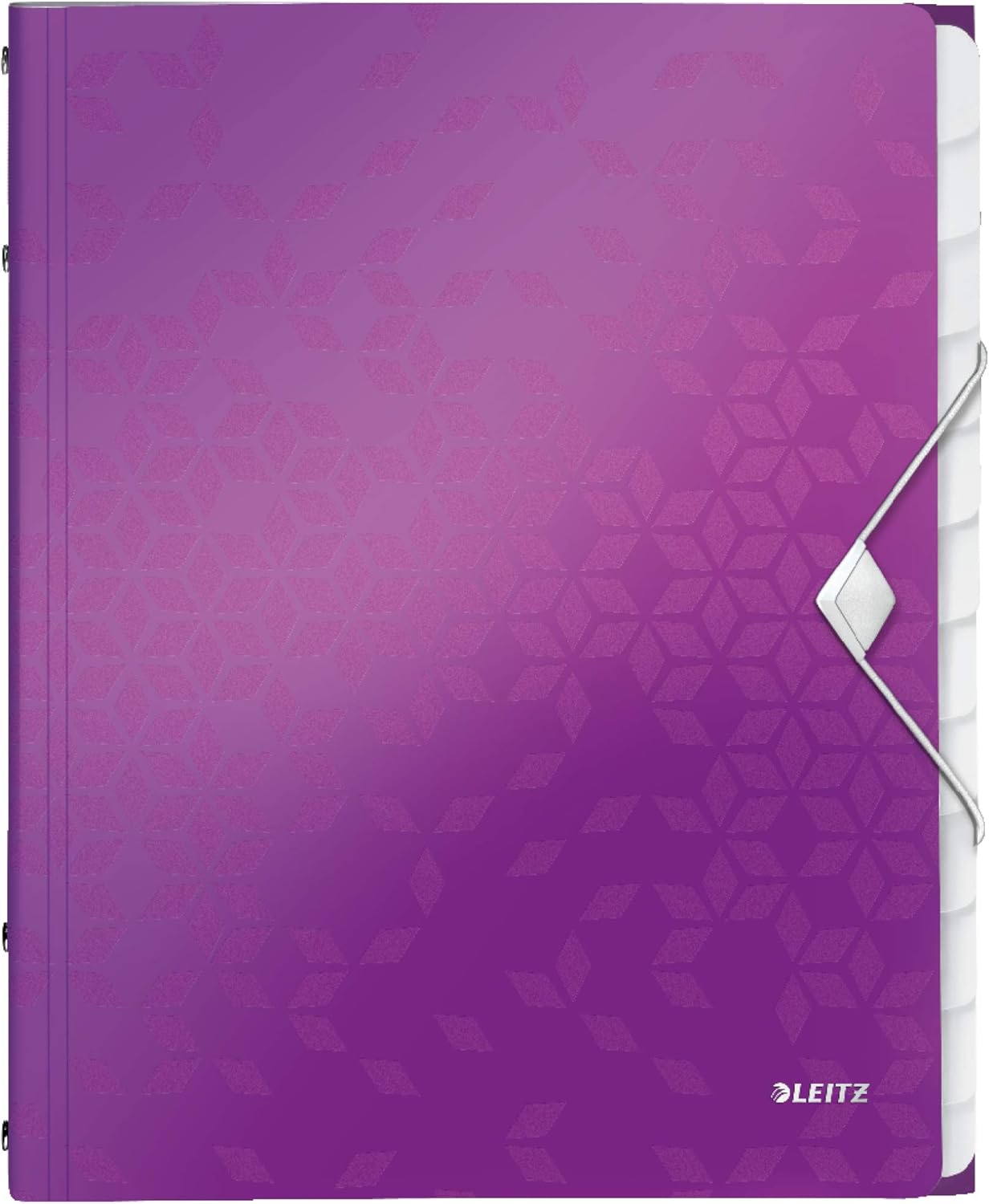 Leitz 12-Tab Divider Book