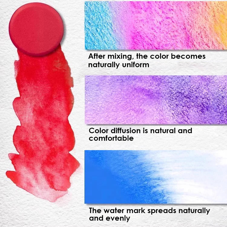 Solid Watercolor Paint Set – 12 Colors with Brush