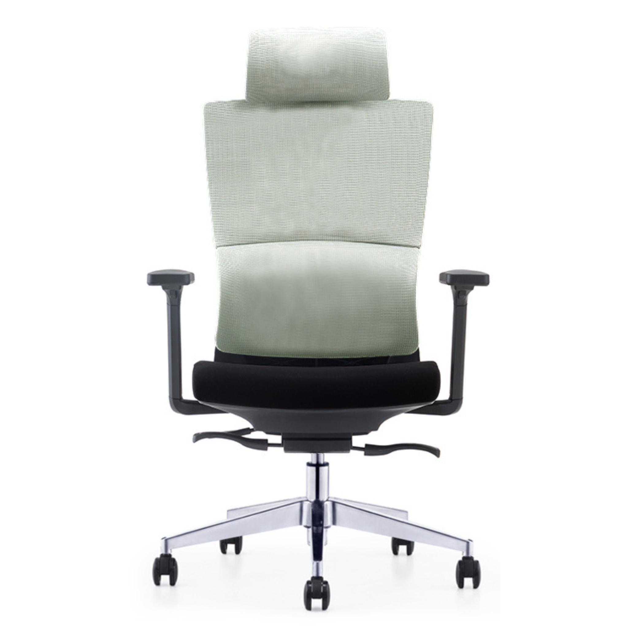 CH-233A - Executive Mesh Chair