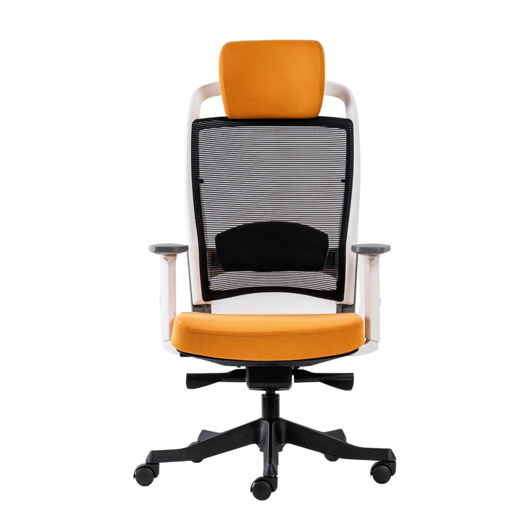 Fulkrum (Whiteback) - Executive Mesh Chair