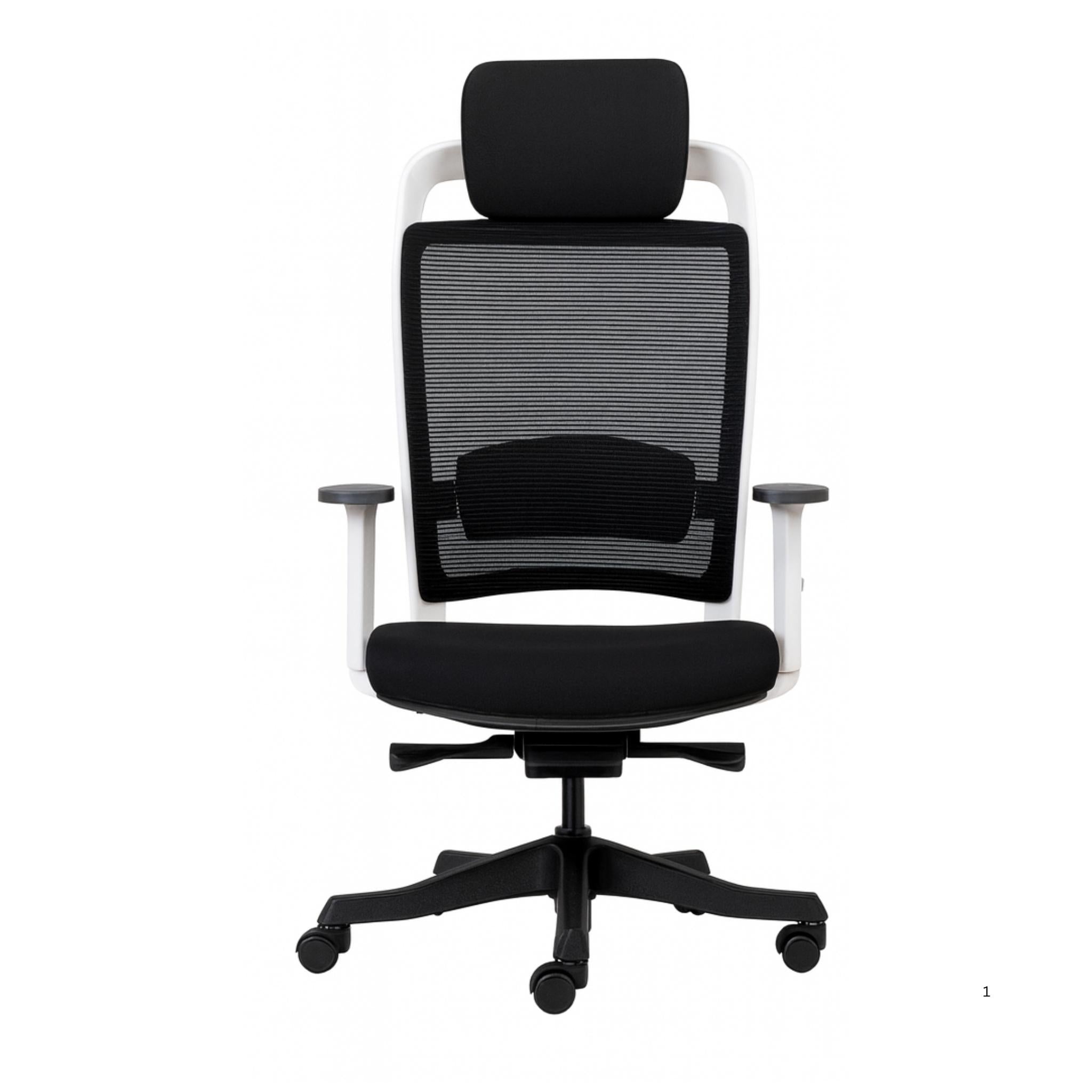 Fulkrum (Whiteback) - Executive Mesh Chair