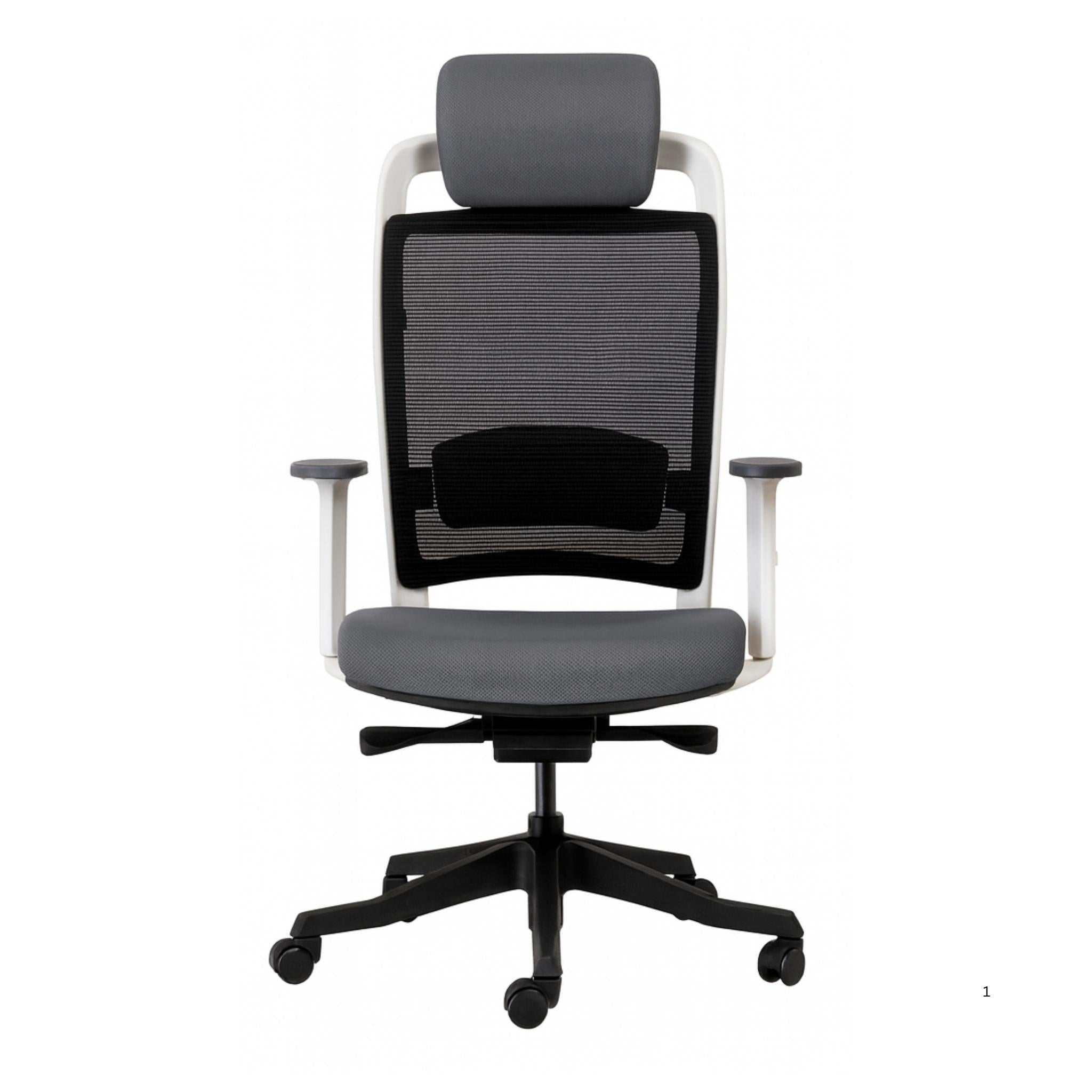 Fulkrum (Whiteback) - Executive Mesh Chair