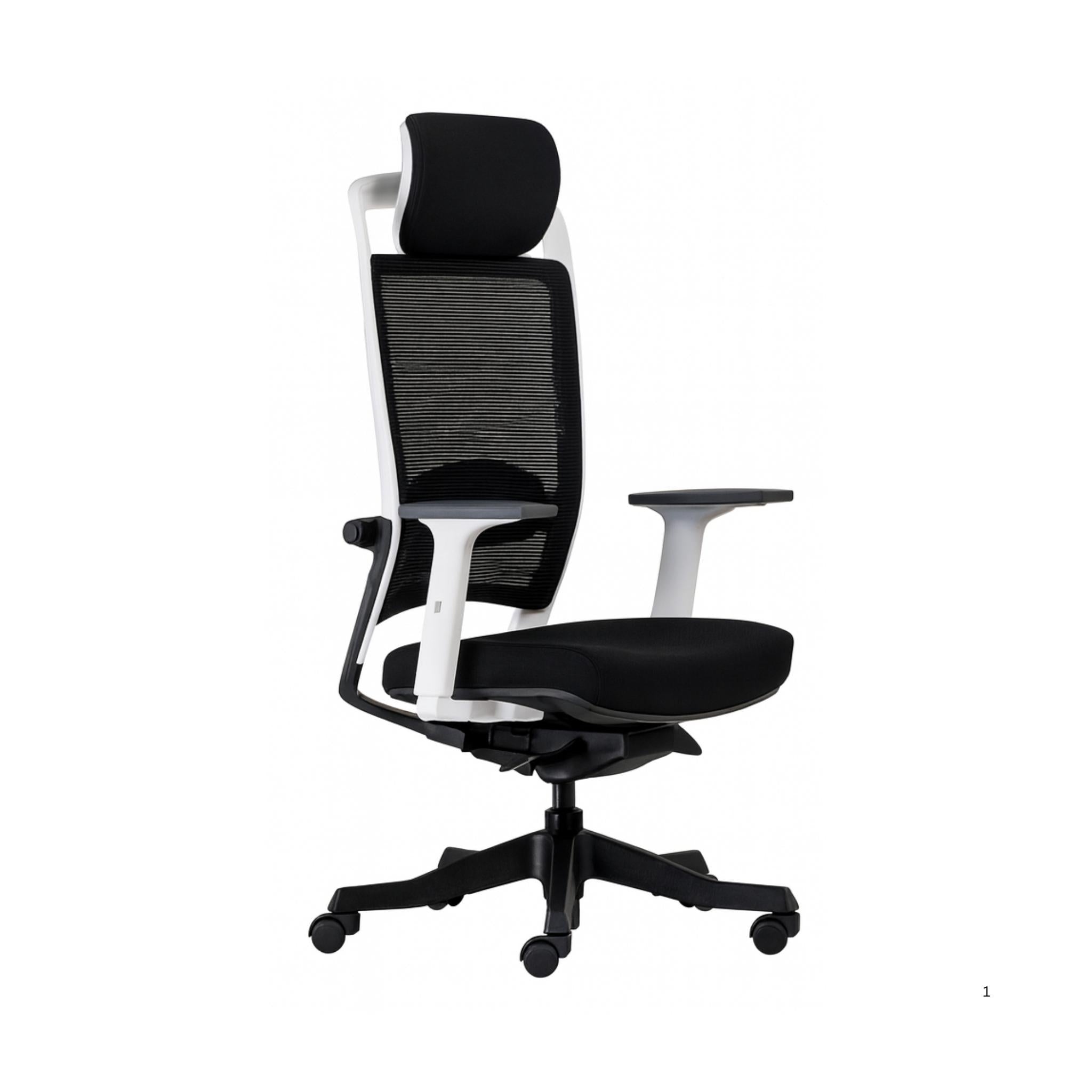 Fulkrum (Whiteback) - Executive Mesh Chair