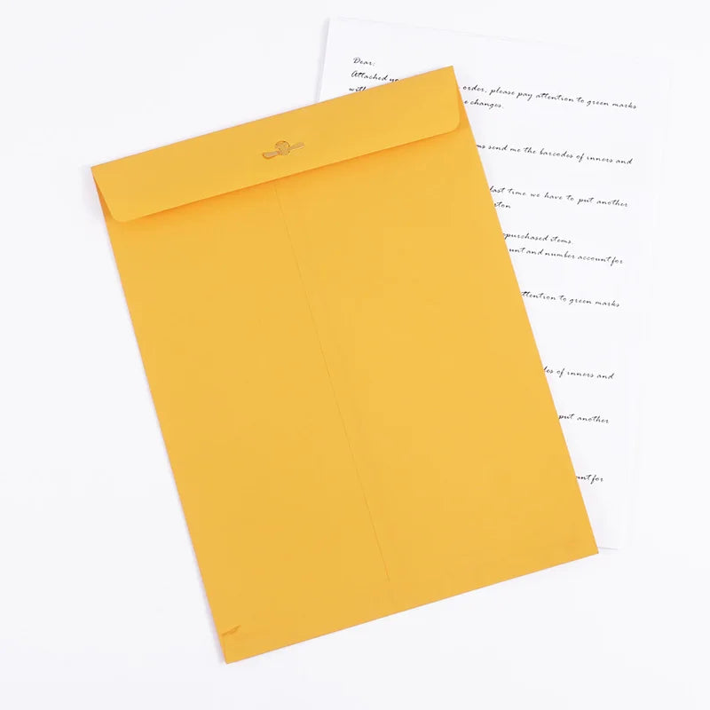 Clasp Gummed Cardboard Document Mailer Envelope