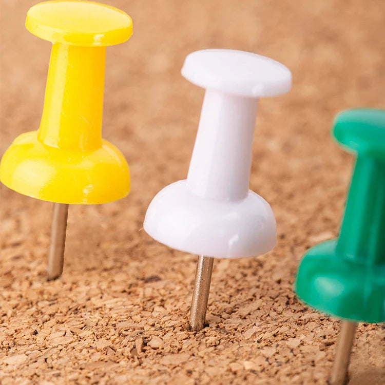 Plastic Head Steel Push Pins 25mm – Box of 30