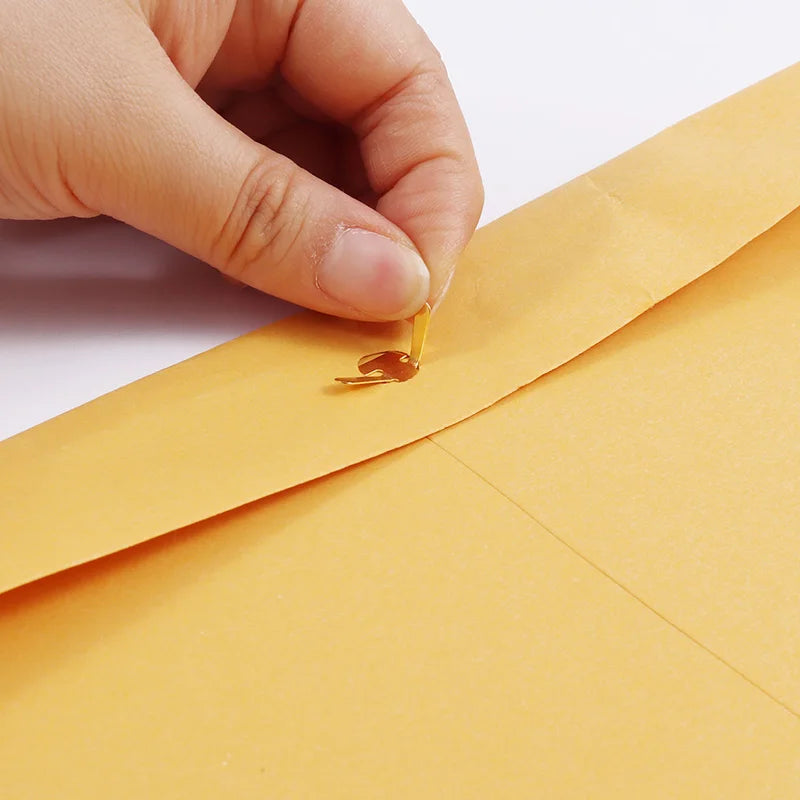 Clasp Gummed Cardboard Document Mailer Envelope