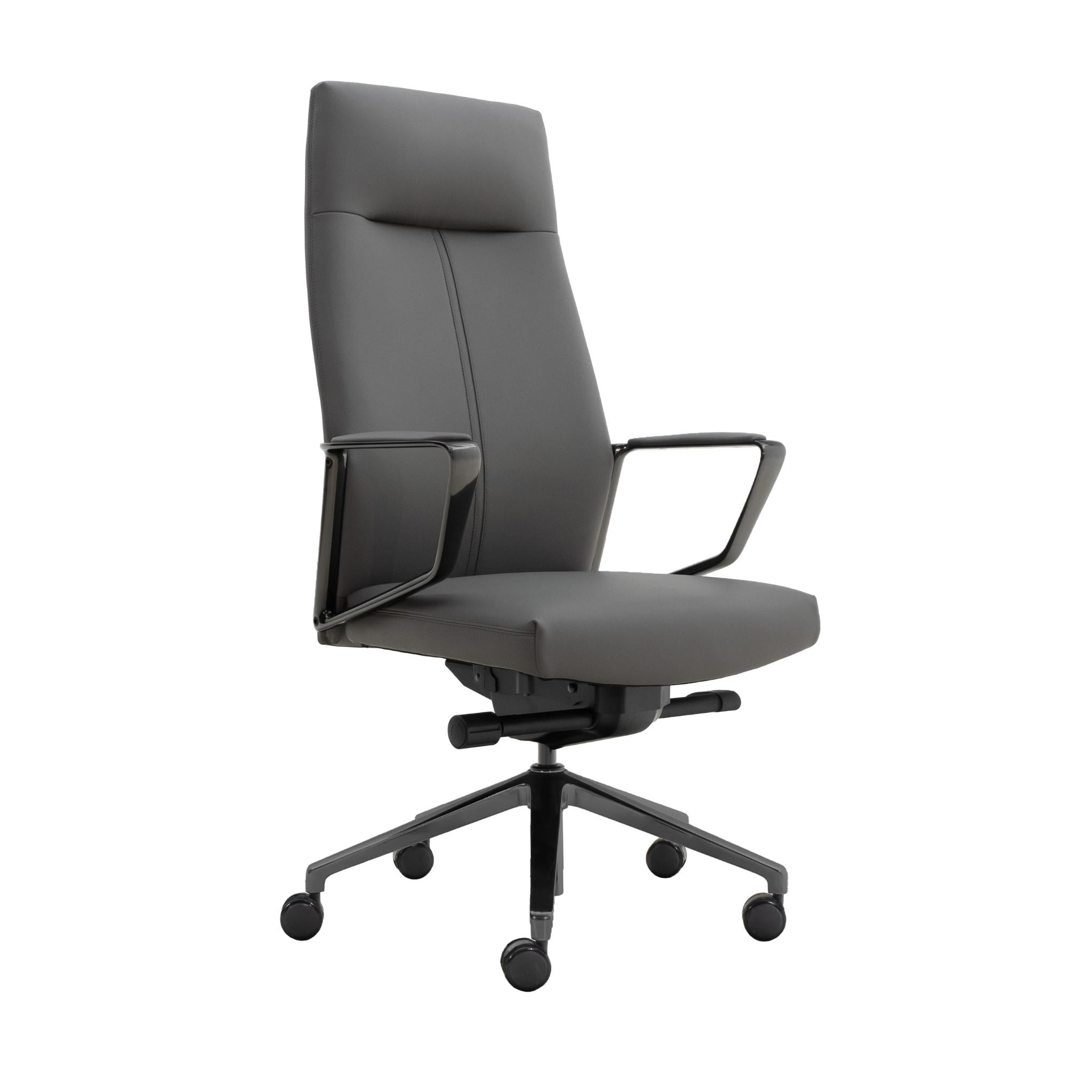 Modest Titanium - Executive Chair