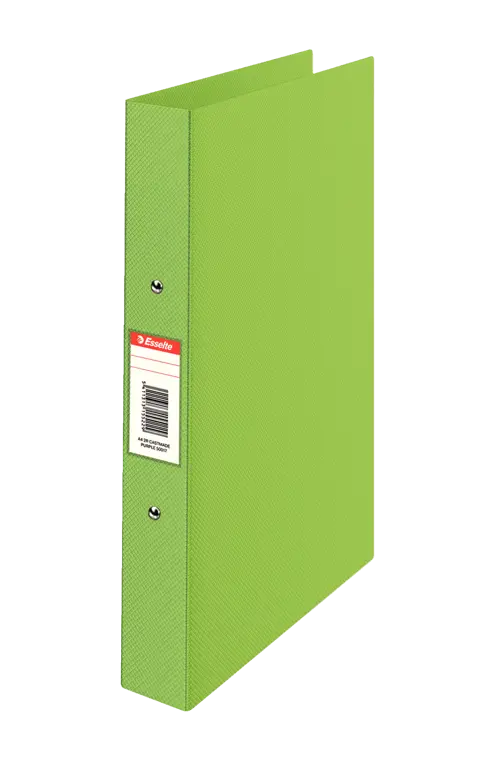 Esselte Ring Binder A4 25mm