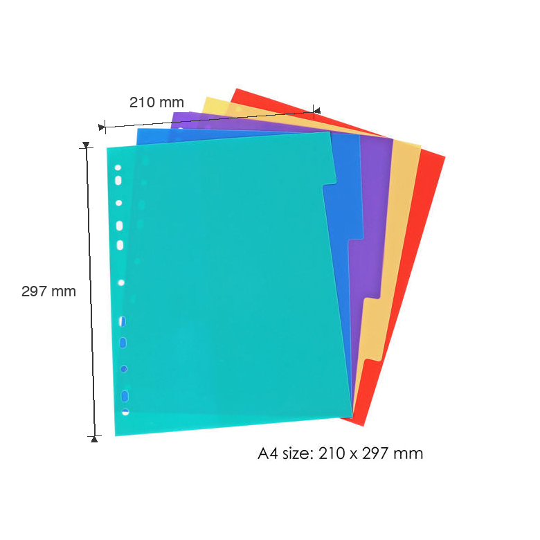 A4 Plastic Index Dividers – Assorted Colours dimensions