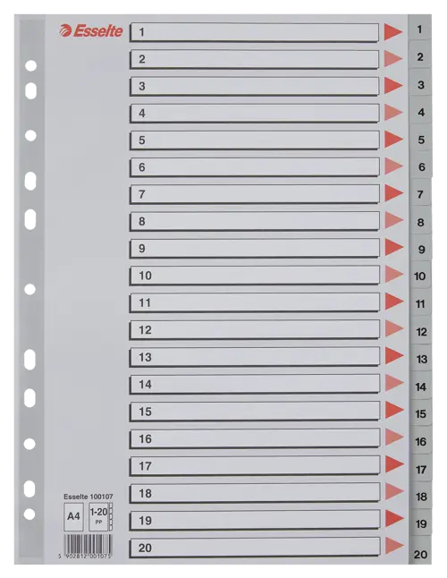 Esselte Divider A4 PP 1-20 Grey