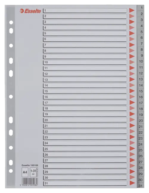 Esselte Divider A4 PP 1-31 Grey