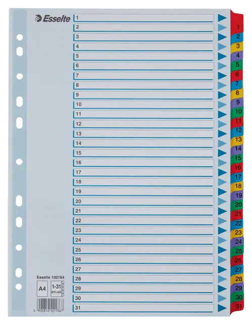 Index 1-31 Esselte Cardboard Mylar Reinforced Tabs A4