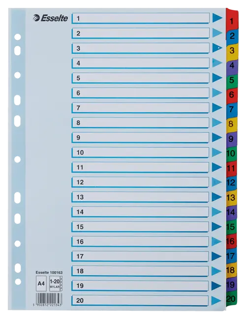 Esselte Mylar Multicolour A4 Index 1-20 Tab