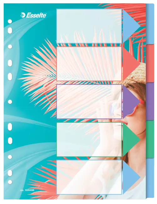 Esselte Breeze Colour PP A4 Index 5 Tab