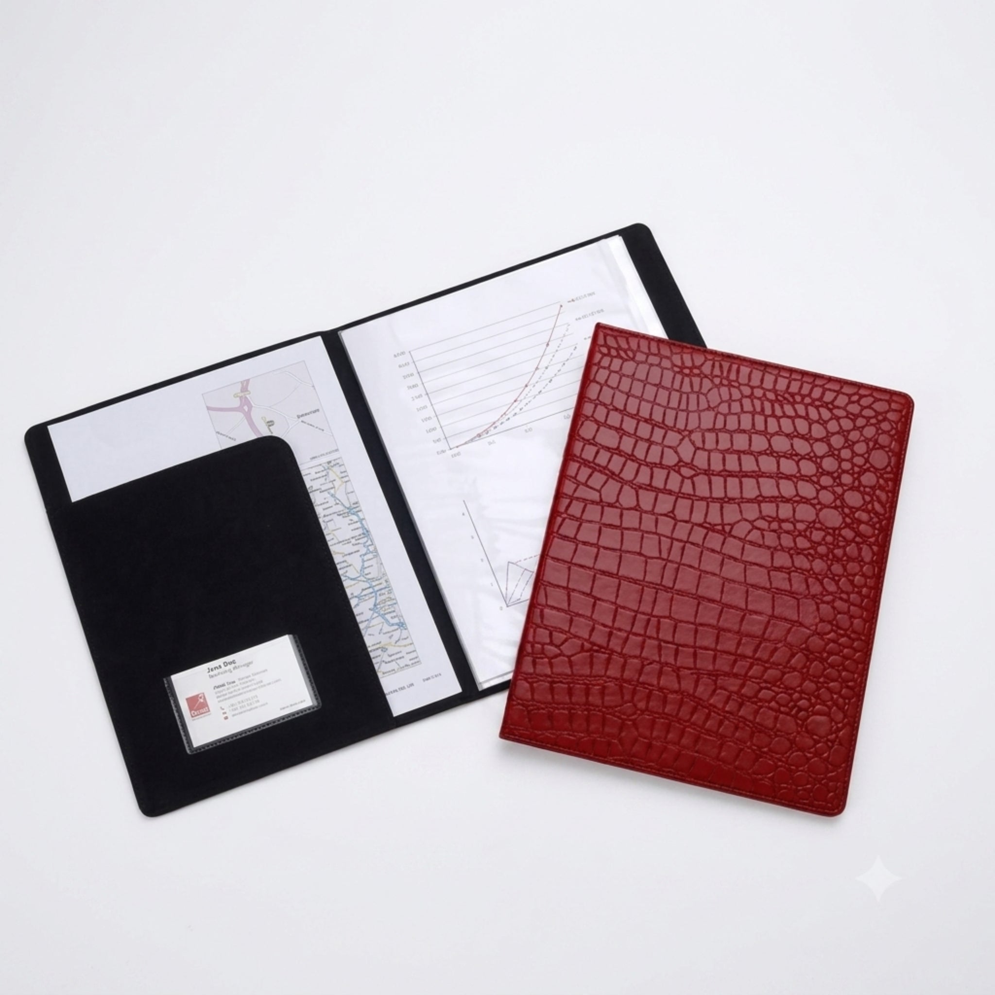 Rexel Croc Display Book 40 Pkts – Red