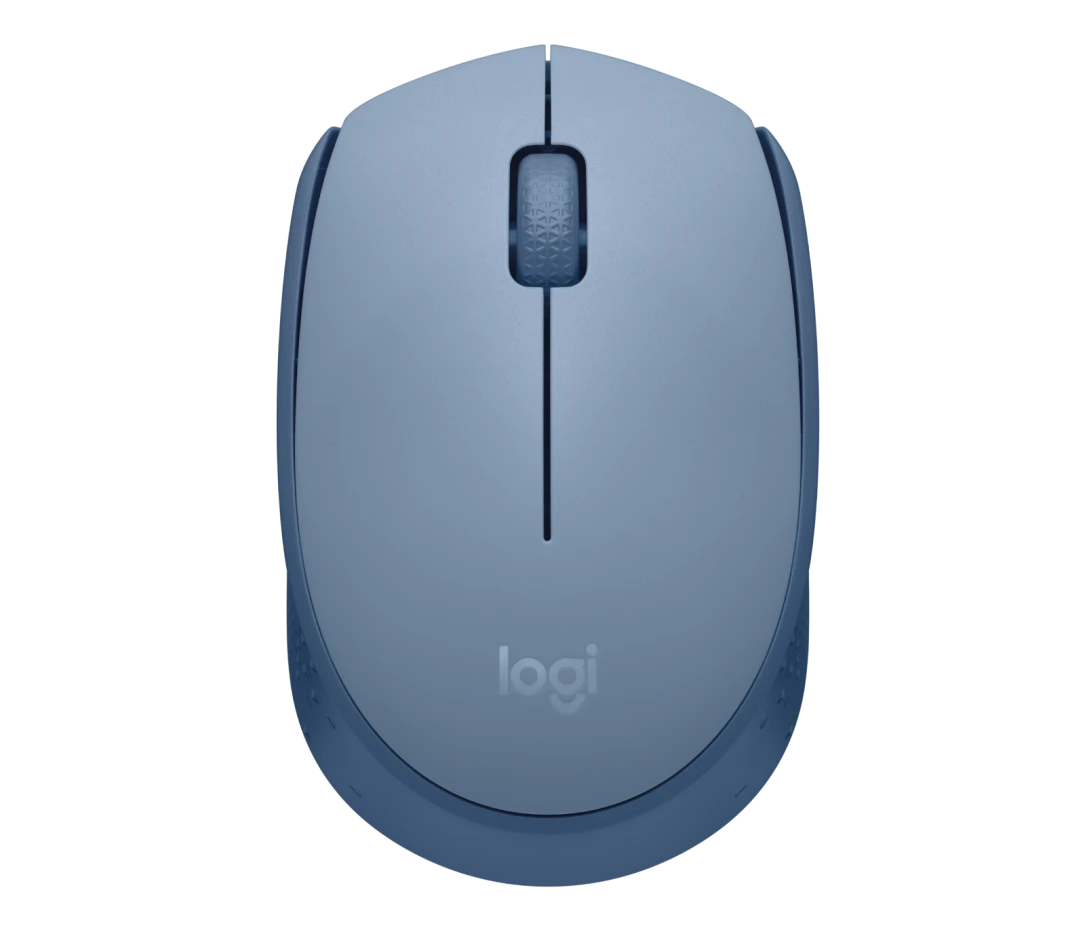 Logitech M171