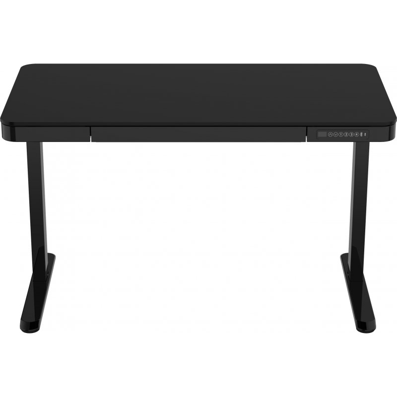 FlexiSpot Standing Desk with Keyboard Tray – (1204 × 604 mm, 45 kg max)