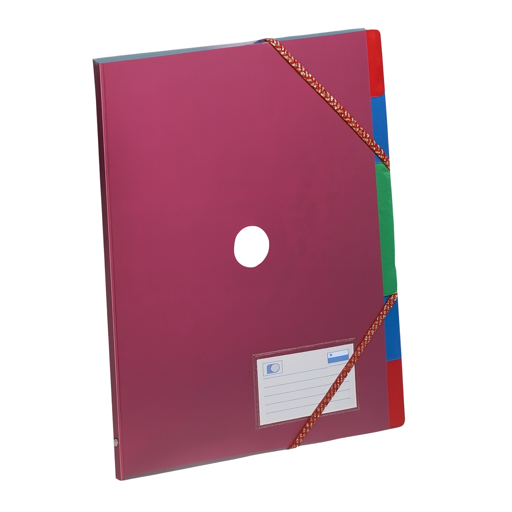 Rexel ICE Organiser 6 Part