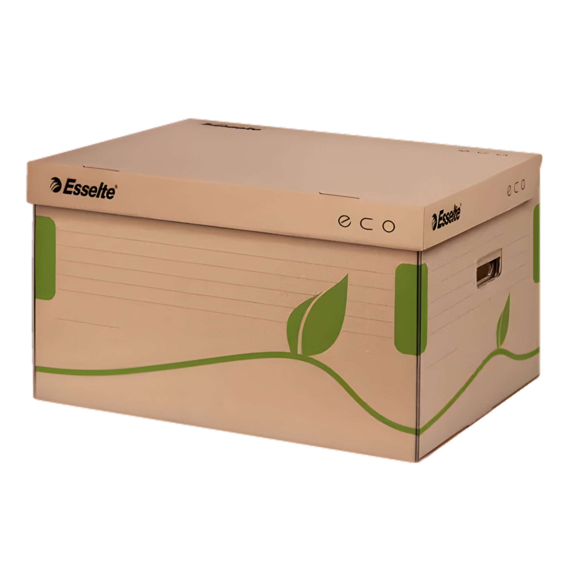 Esselte Archive Eco Box