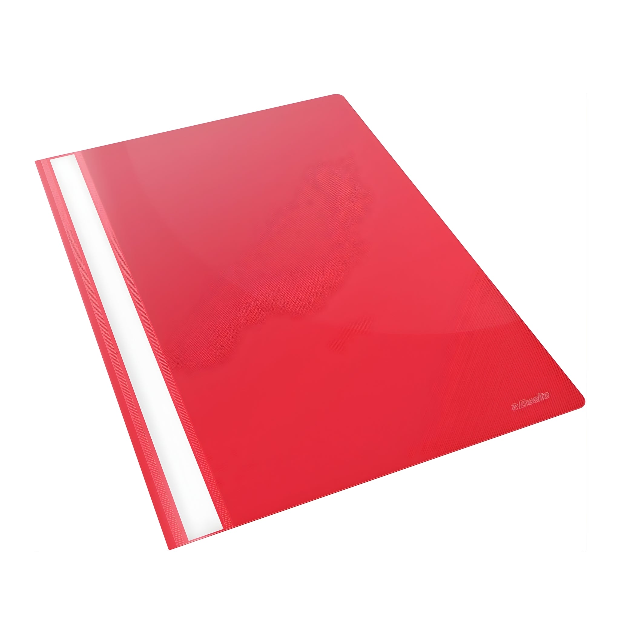 Esselte Report File Vivida A