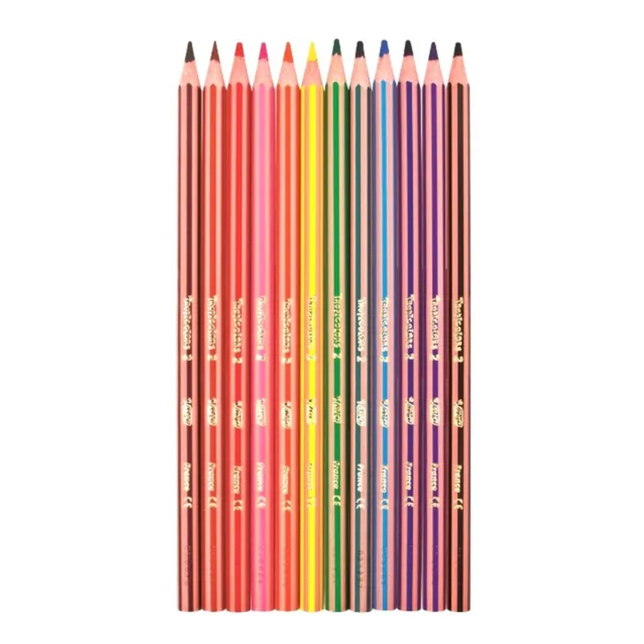 BIC Evolution Tripes Colouring Pencil 12 in Wallet - Image 2 - Office R Us