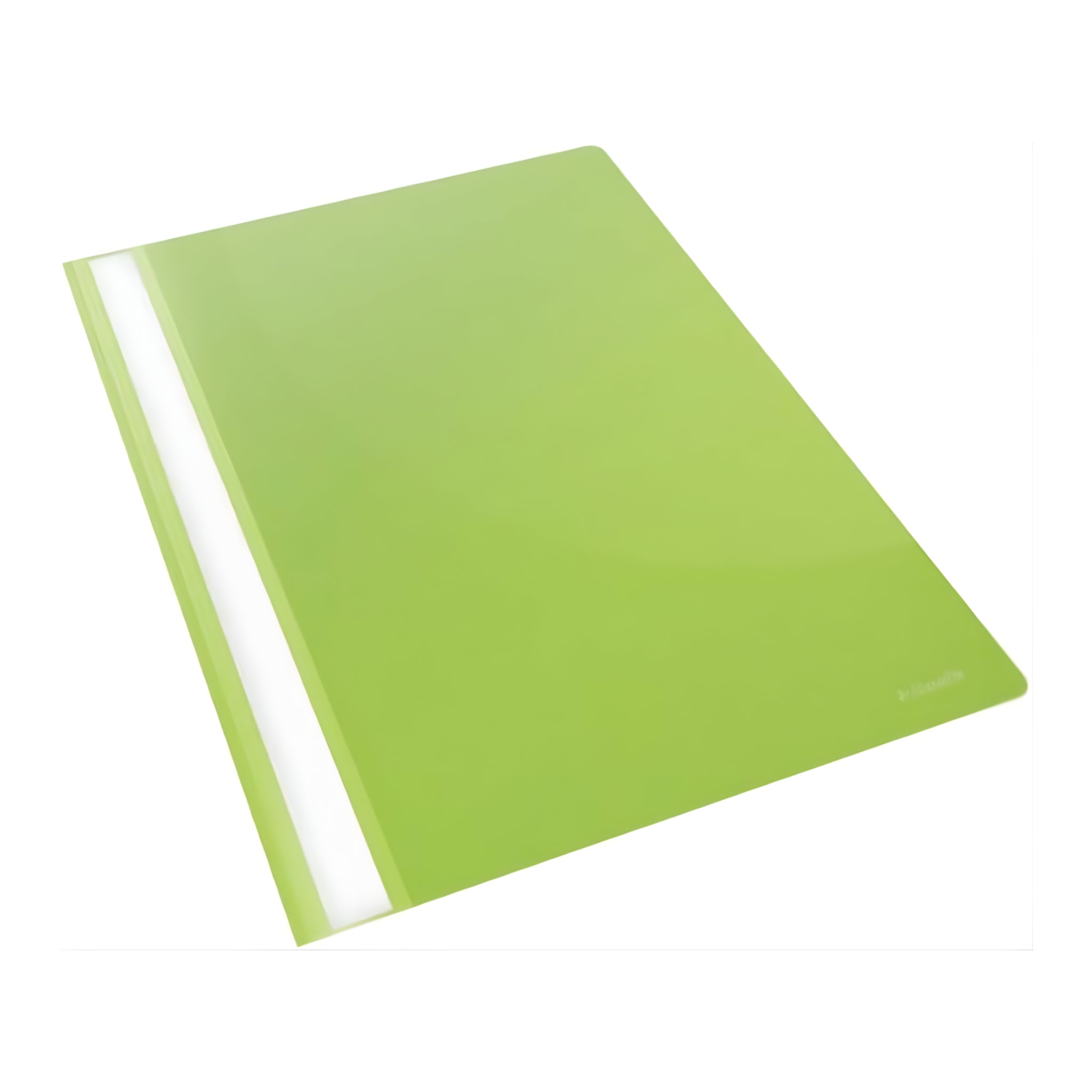 Esselte Report File Vivida A