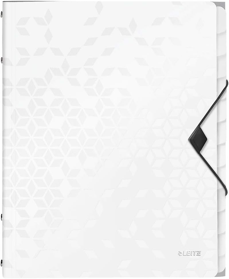 Leitz 12-Tab Divider Book