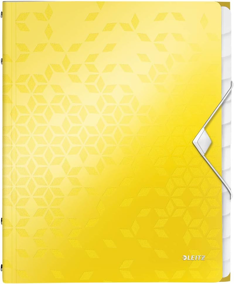 Leitz 12-Tab Divider Book