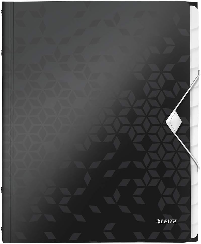 Leitz 12-Tab Divider Book