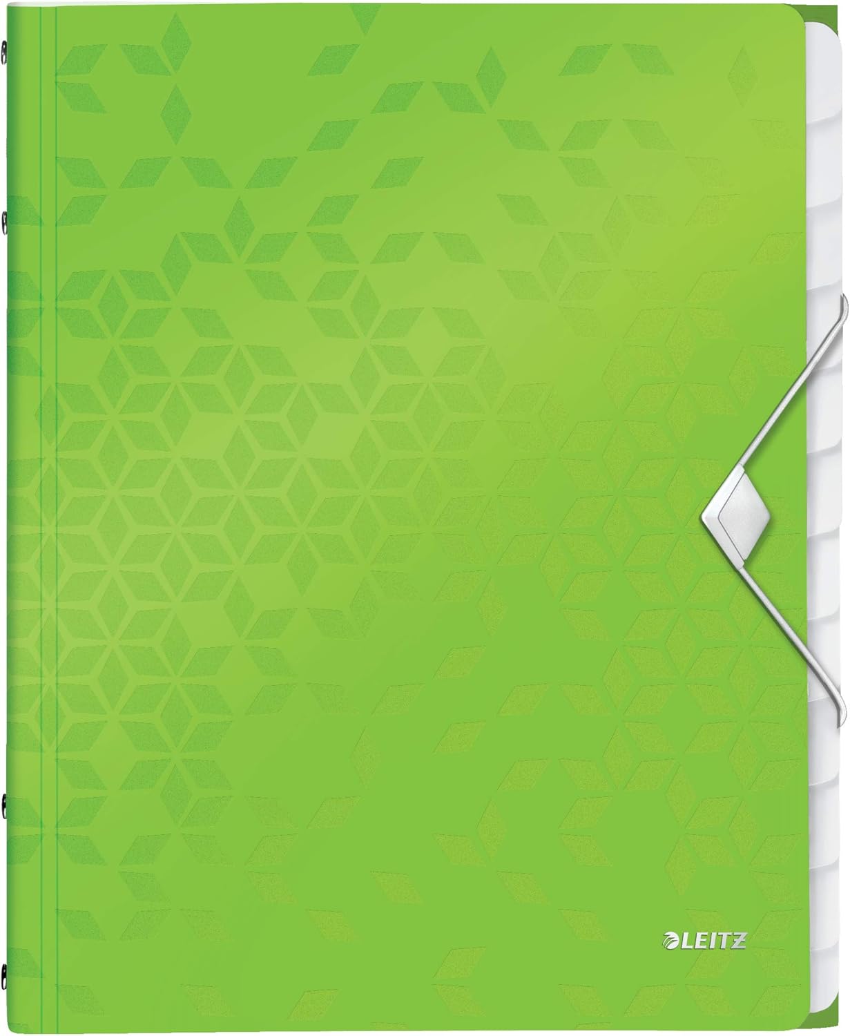 Leitz 12-Tab Divider Book