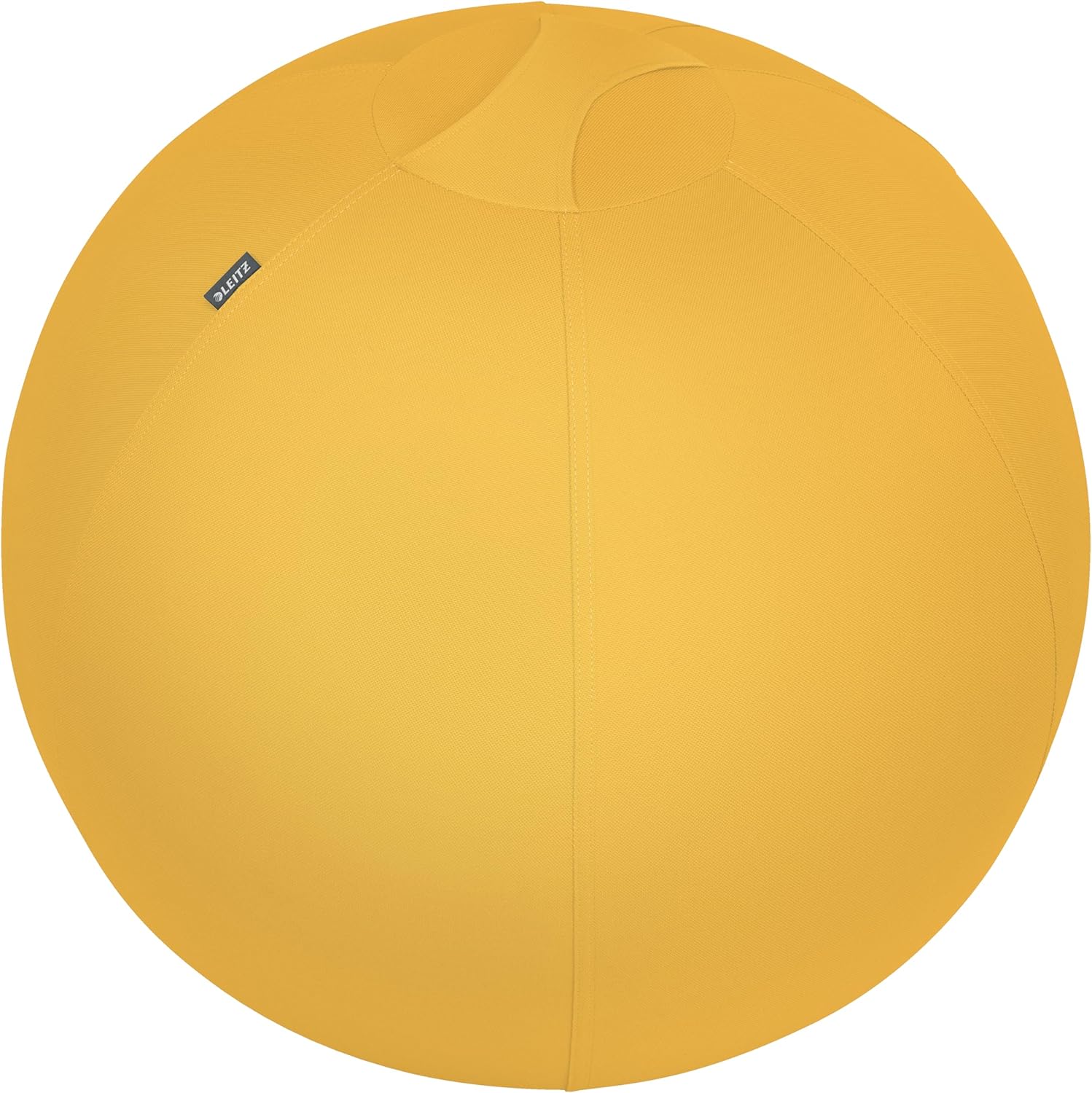 Leitz Cosy Ergo Sitting Ball