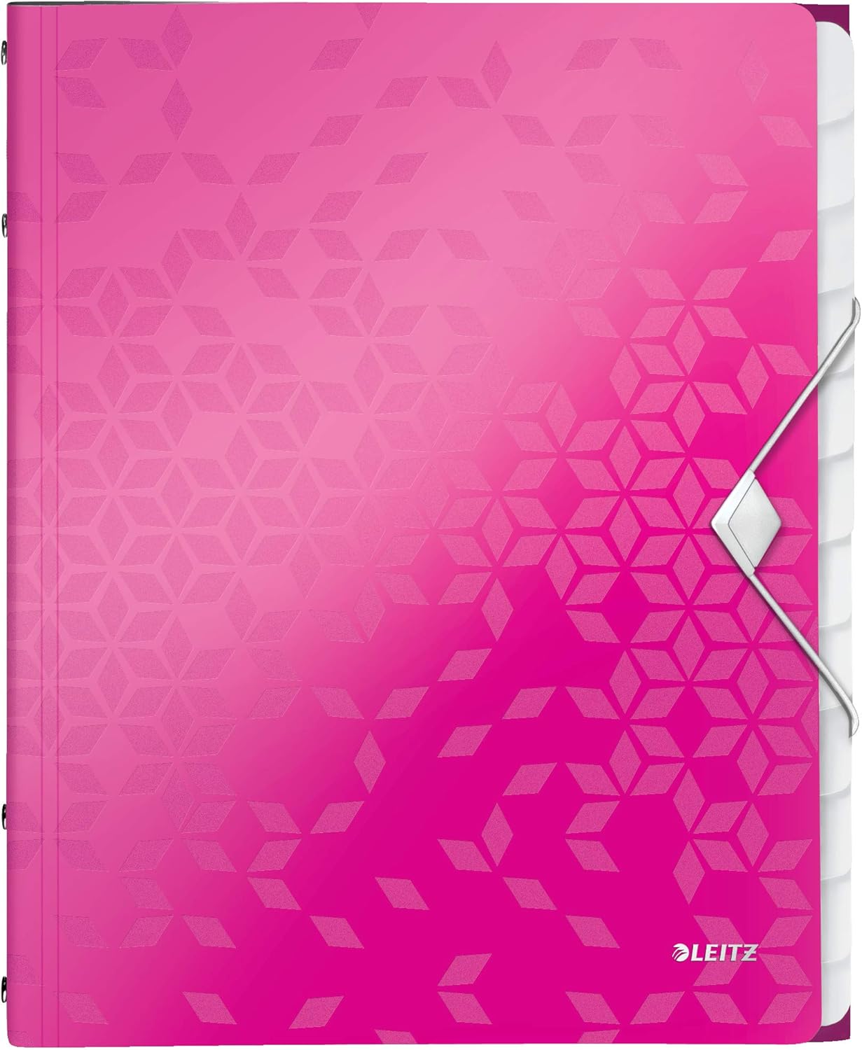 Leitz 12-Tab Divider Book