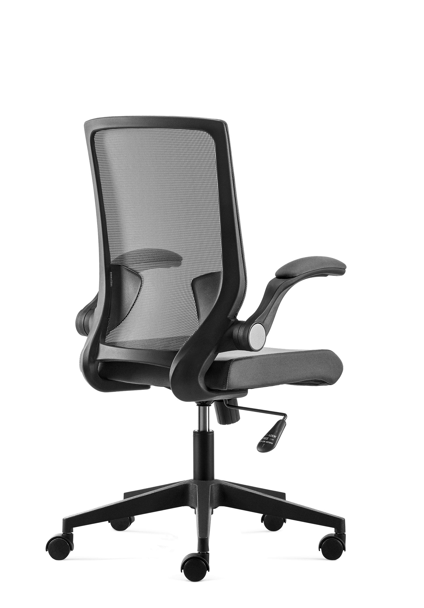 D255 - Task Chair - Nylon Base Angle 2 - Office R Us