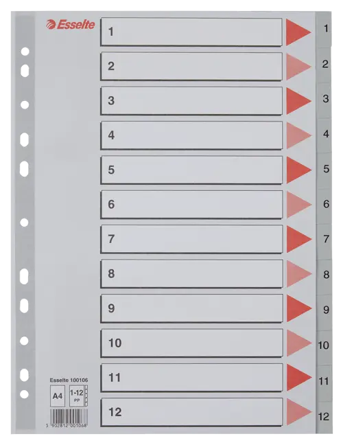 Esselte Divider A4 PP 1-12 Grey