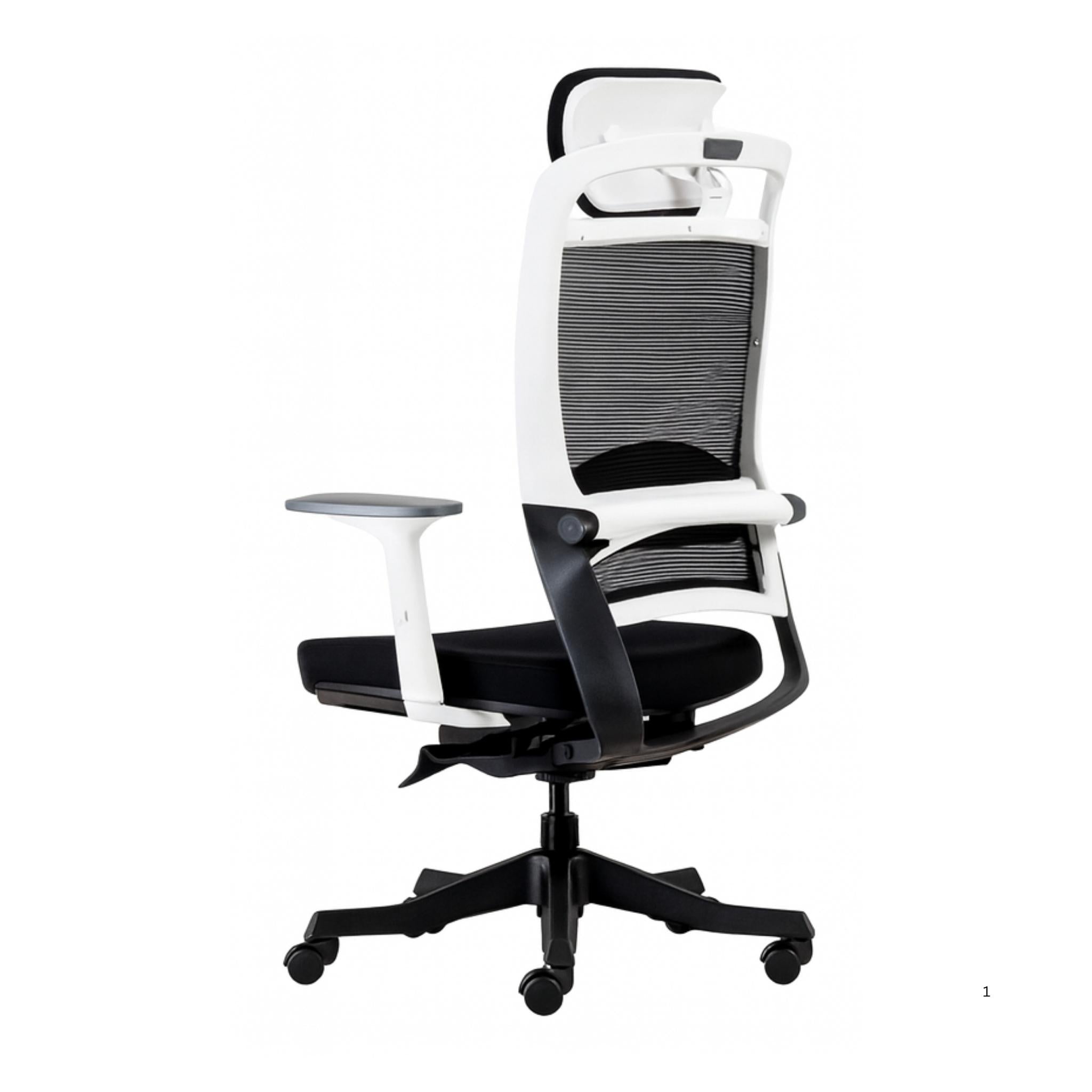 Fulkrum (Whiteback) - Executive Mesh Chair
