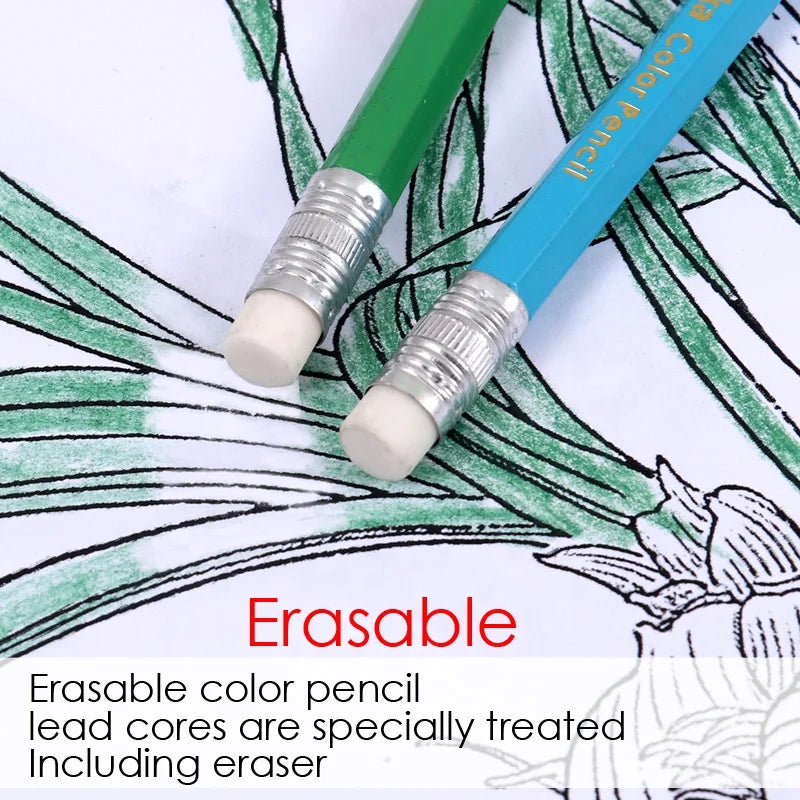 Erasable Plastic Colored Pencils – 7 Inch