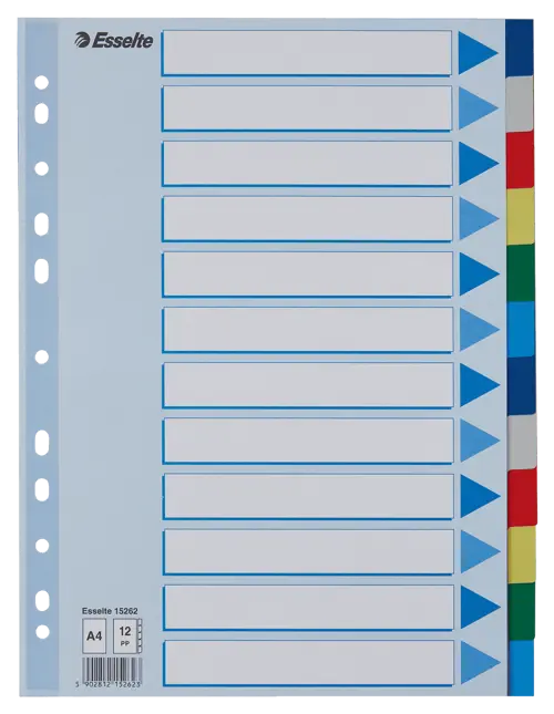 Esselte Divider A4 PP 12 Tabs