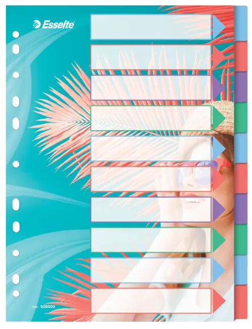 Esselte Breeze Colour PP A4 Index 10 Tab