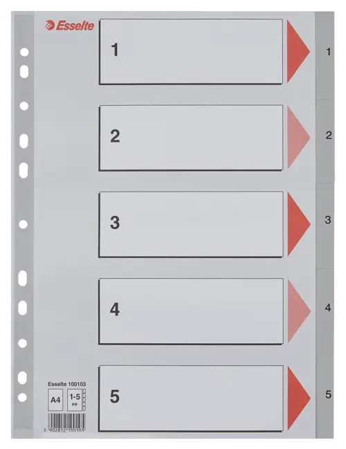 Esselte Divider A4 PP 1-5 Grey
