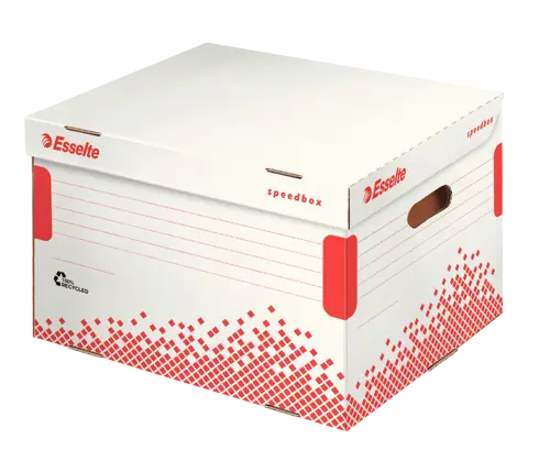 Esselte Archive Box