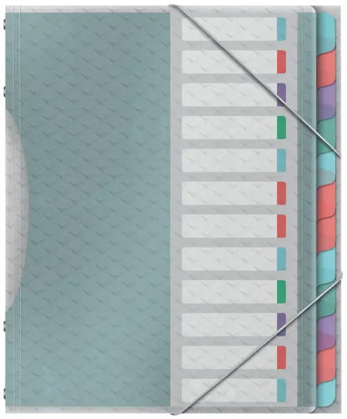 Esselte Divider Book Colour Ice 12 Part Multicolour